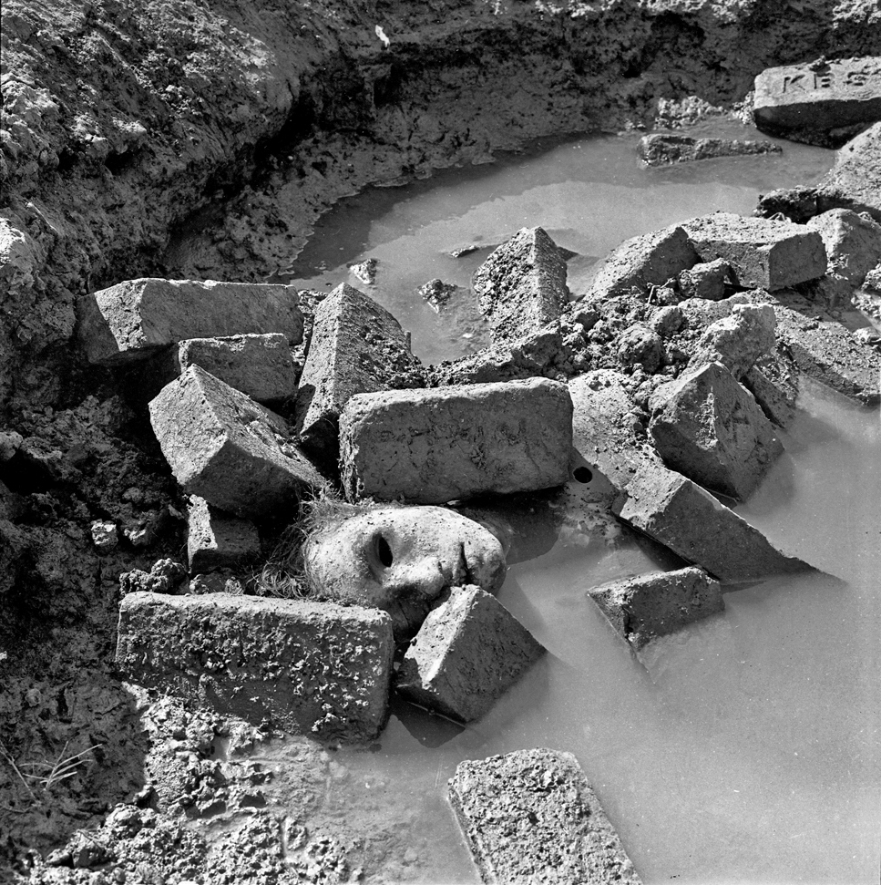 Genocide 1971 in Bangladesh